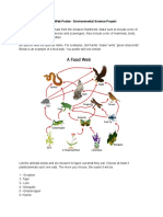 505602361 Copy of Food Web Project