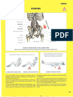 Frederic Delavie - Strength Training - Anatomy - 2nd Edition