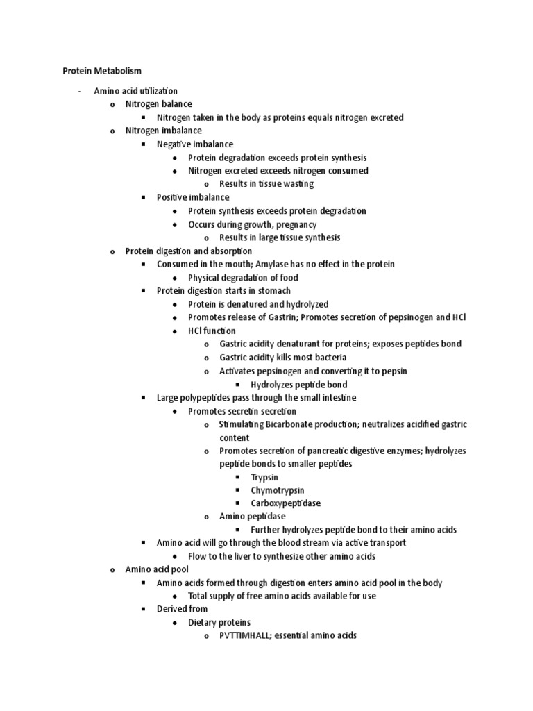 Protein Metabolism PDF