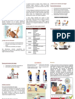 LESIONES MUSCUESQUELETICAS DE ORIGEN LABORAL Triptico