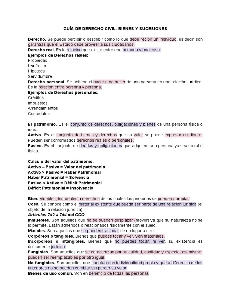 Guía de Derecho Civil Bienes y Sucesiones | PDF | Bienes (Ley ...