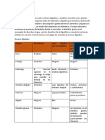 Sistema - Digestivo Actividad 2