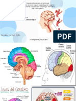 ECV IsquemicoHemorragico