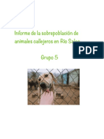 Informe 