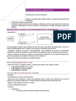 Tema Inteligencia Procesos Cognitivos