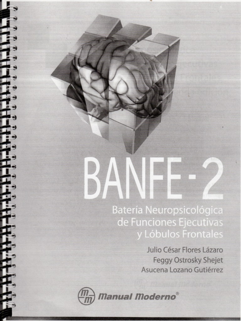 Manual Banfe 2 | PDF