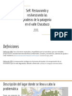 Ser: Restaurando Y Resilvestrando Las Praderas de La Patagonia en El Valle Chacabuco