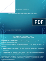 Secuencia 1 Sesion 4 Imagen Radiografica y Peligros de La Radiación