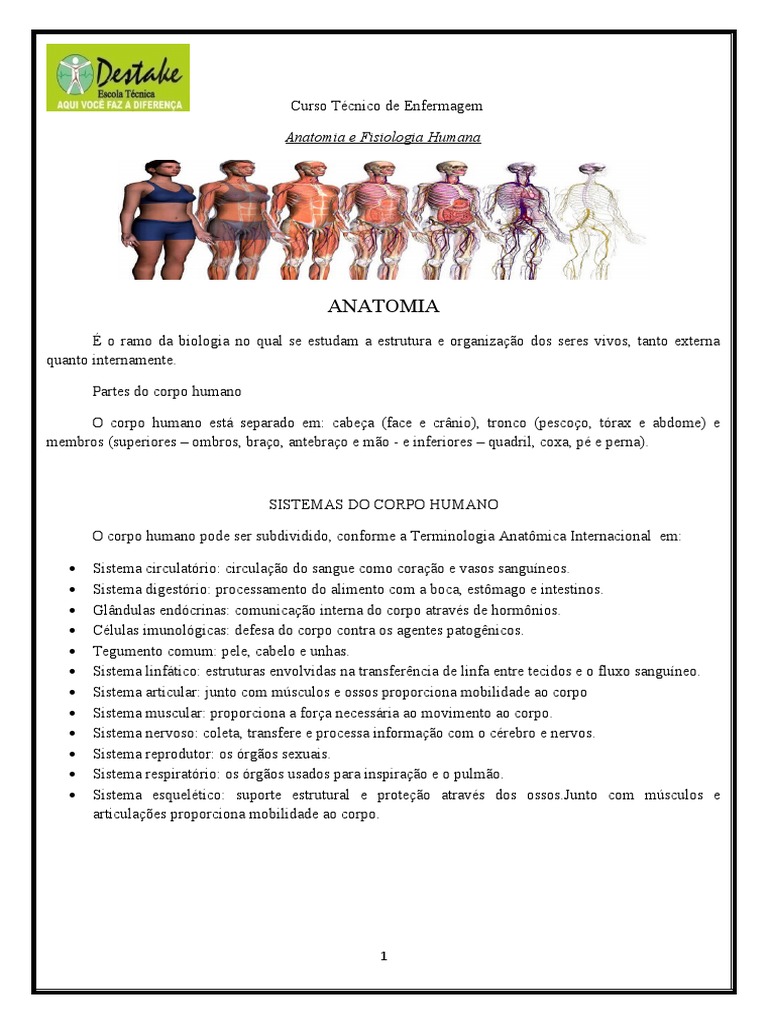 ANATOMIA PDF LIVRO visual data 8