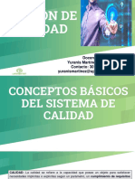 Conceptos Básicos Del Sistema de Calidad