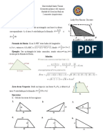 Area de Triangulos y Trapecios