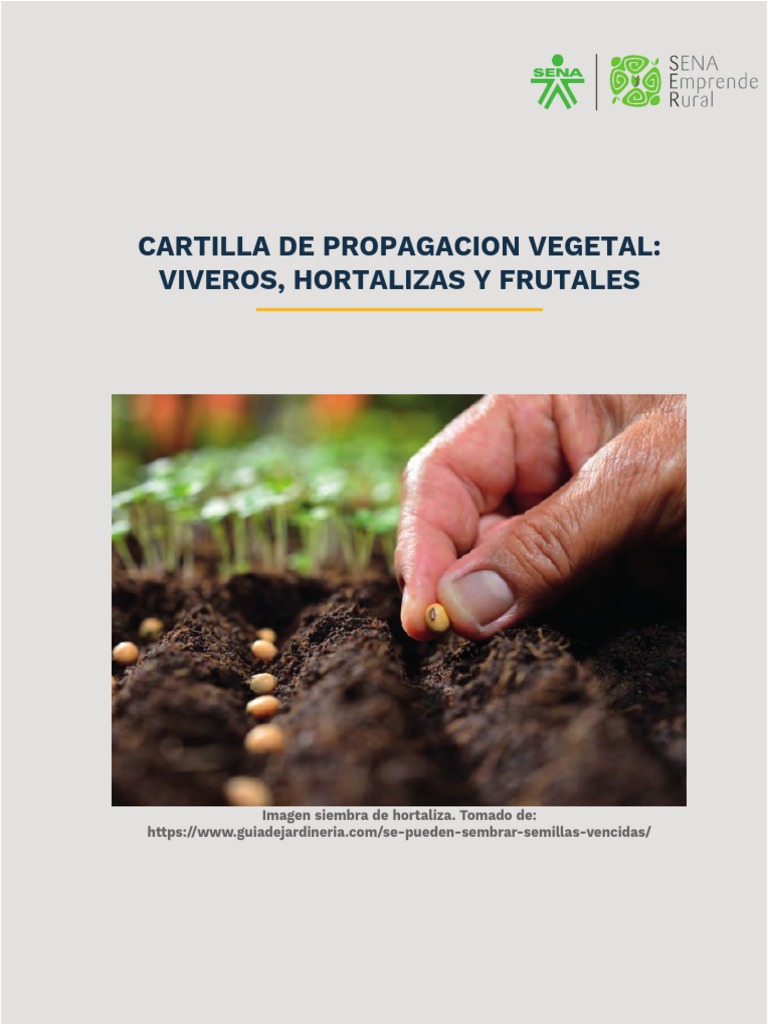Propagación Vegetal Viveros y Hortalizas | PDF