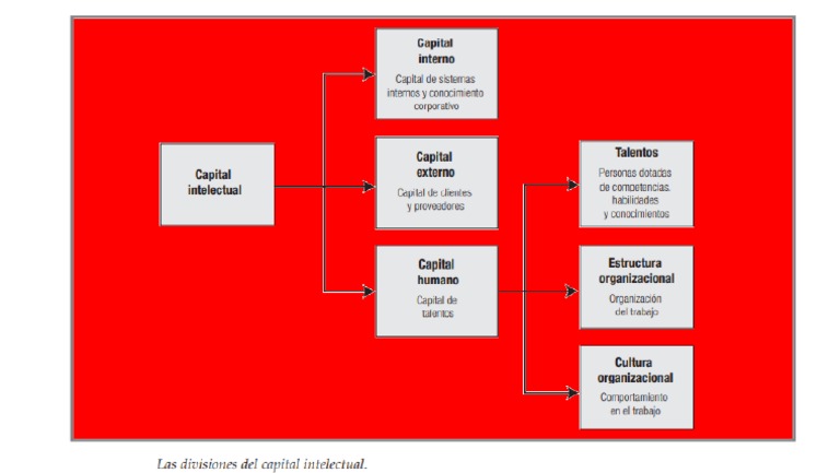 Capital Intelectual | PDF