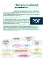 Estructura y Funciones (Mapa)