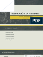 Respiración en Animales: Colegio Juventudes Unidas Biología 7°