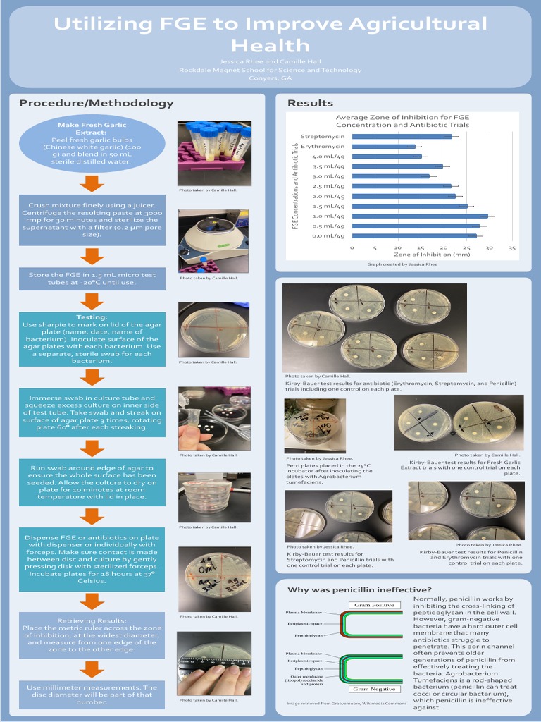 Isef Board Updated 2023 Download Free PDF Microbiology Biology