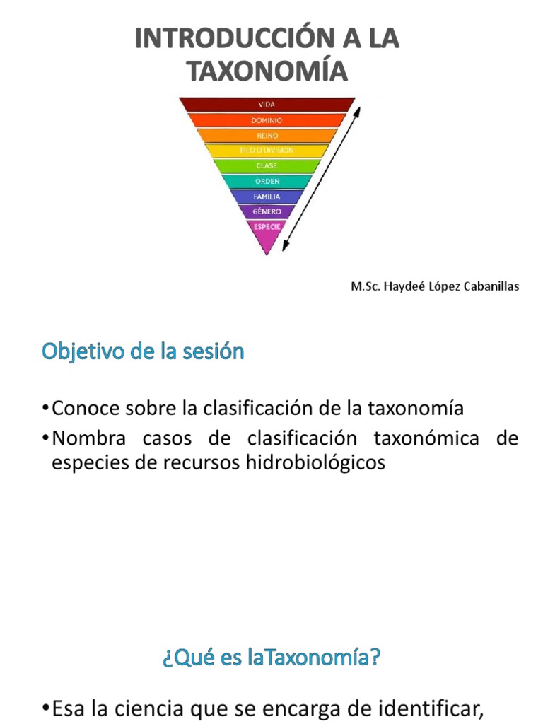 Práctica 1 Introducción A La Taxonomía PDF