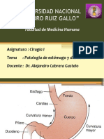 Patología de Estómago y Duodeno 2023