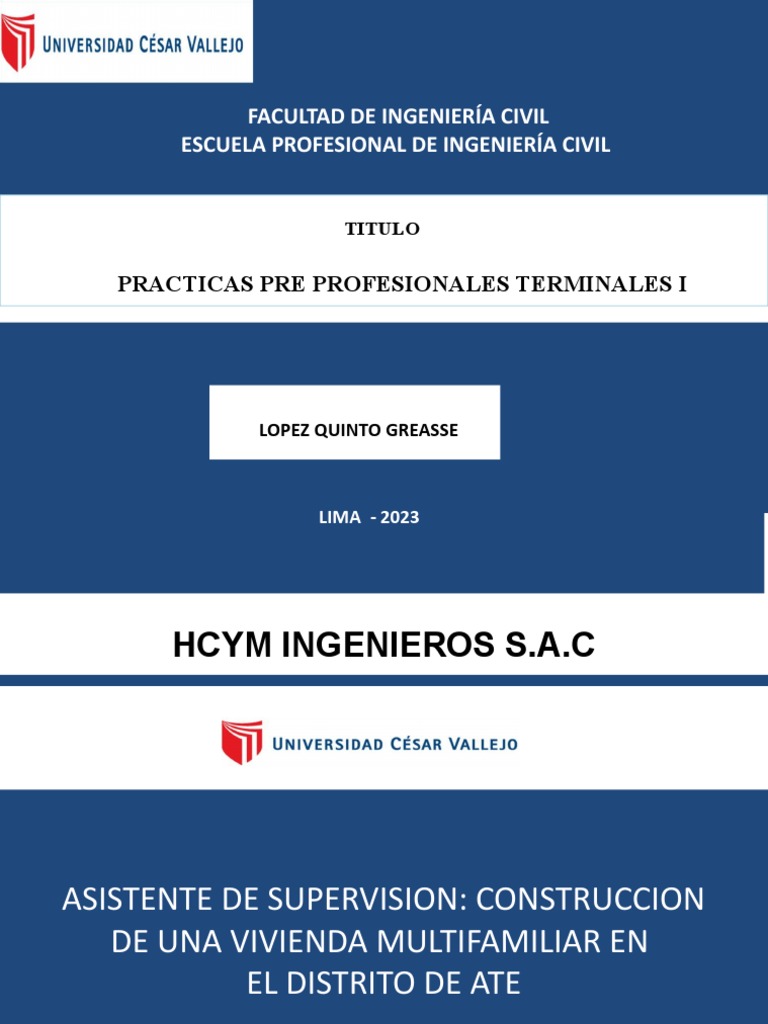 Formato 11 | PDF