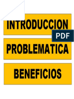 Introduccion Problematica Beneficios