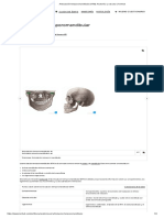 Articulación Temporomandibular (ATM) - Anatomía y Vascular - Kenhub