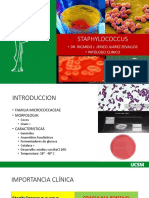 Staphylococcus