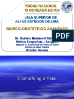 Dismorfología Fetal2