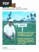 International Rice Research Notes Vol.29 No.1