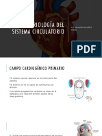 Clase 01 Embriología Del Sist Circulatorio