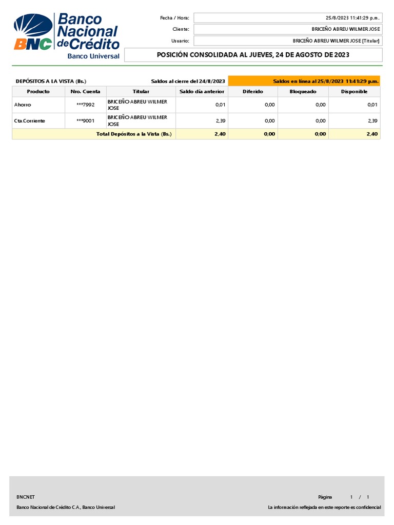 Guía de BNC | PDF