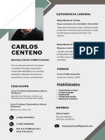 CV Carlos C.