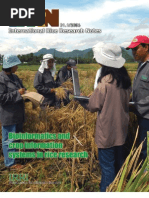 Download International Rice Research Notes Vol31 No1 by ccquintos SN66912284 doc pdf