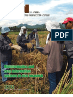 International Rice Research Notes Vol.31 No.1