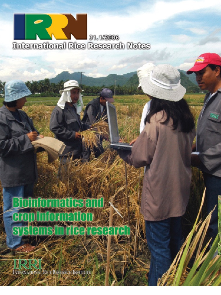 International Rice Research Notes Vol.31 No.1 | PDF | Genetic Variation ...