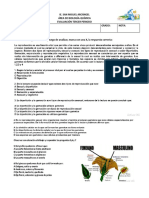 Evaluacion Tercer Periodo Octavo 2023