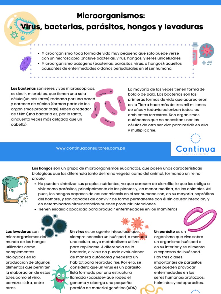 Cap 1 Microorganismos Virus, Bacterias, Parásitos y Hongos. | PDF |  Microorganismo | Virus