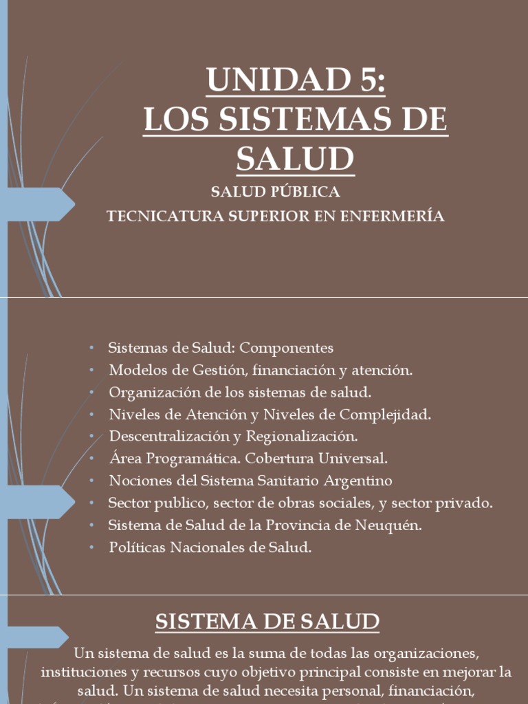 Regionalización y Eficiencia en Salud | PDF | Hospital