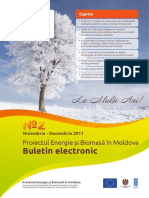 ENERGIE-SI-BIOMASA Buletin-Electronic Nr2 RO