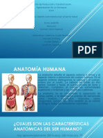 Anatomía Humana