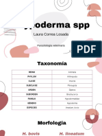 Hypoderma SPP