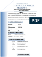 Curriculum de Vitae Benita Micaela Villar Medrano