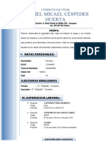 Curriculum de Vitae YOSMEL MICAEL CÉSPEDES HUERTA