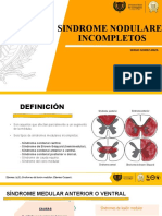 SX Medulares Incompletos