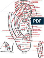 Nomenclatura Auricular PDF