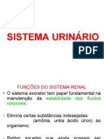 13082023181234aula Sistema Urinário