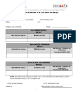 Formatos Avance y Logro de Metas Final