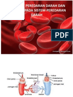 Pembuluh Darah