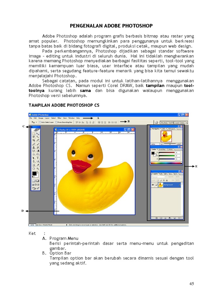 Photoshop | PDF
