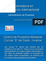 Los Costos Del Proyecto