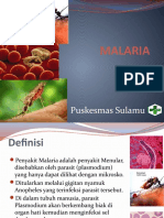 Malaria Sulamu